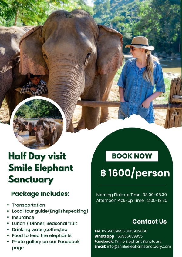 Smile Elephant Sanctuary
