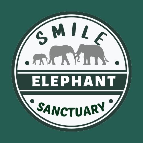 Smile Elephant Sanctuary